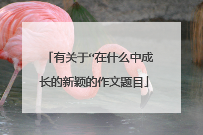有关于“在什么中成长的新颖的作文题目