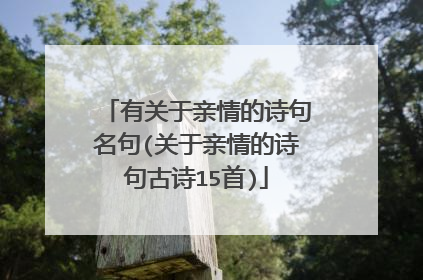 有关于亲情的诗句名句(关于亲情的诗句古诗15首)
