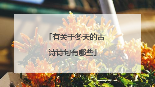 有关于冬天的古诗诗句有哪些