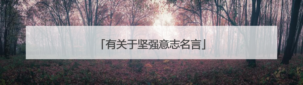 有关于坚强意志名言