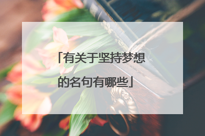 有关于坚持梦想的名句有哪些
