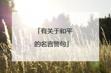 有关于和平的名言警句