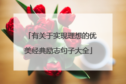 有关于实现理想的优美经典励志句子大全