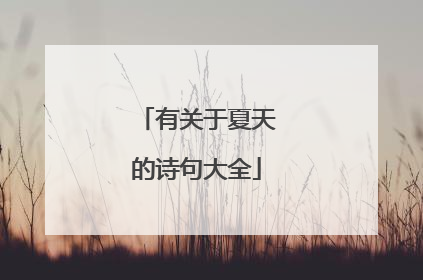 有关于夏天的诗句大全