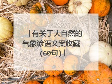 有关于大自然的气象谚语文案收藏(60句)