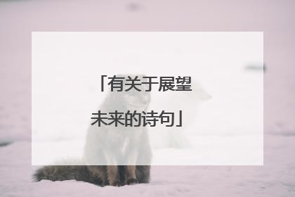 有关于展望未来的诗句