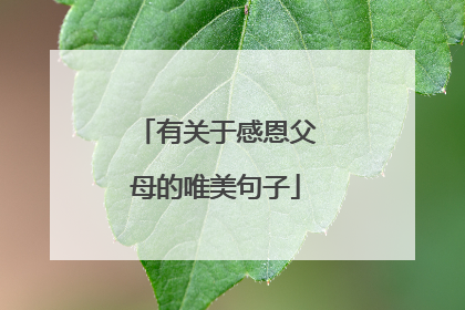 有关于感恩父母的唯美句子