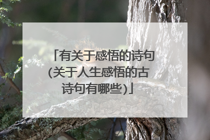 有关于感悟的诗句(关于人生感悟的古诗句有哪些)