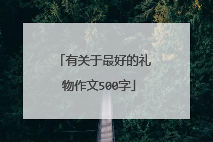 有关于最好的礼物作文500字