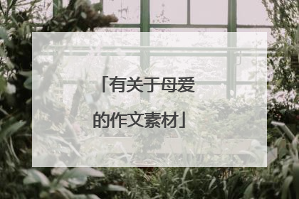 有关于母爱的作文素材