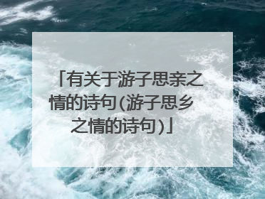 有关于游子思亲之情的诗句(游子思乡之情的诗句)