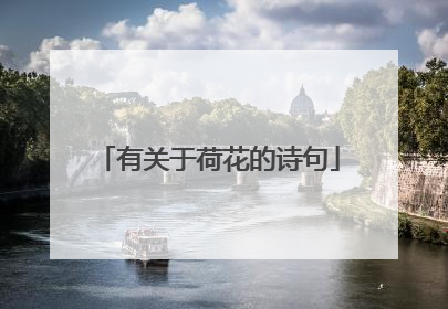 有关于荷花的诗句