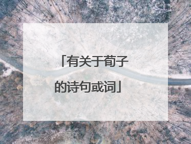 有关于荀子的诗句或词