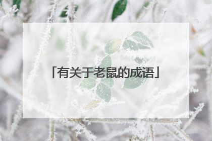 有关于老鼠的成语