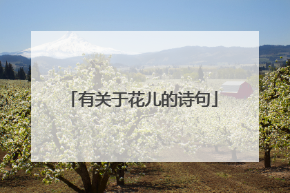 有关于花儿的诗句