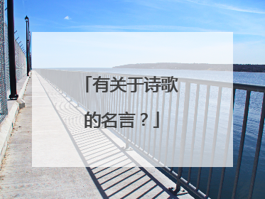 有关于诗歌的名言?