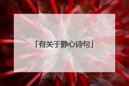 有关于静心诗句