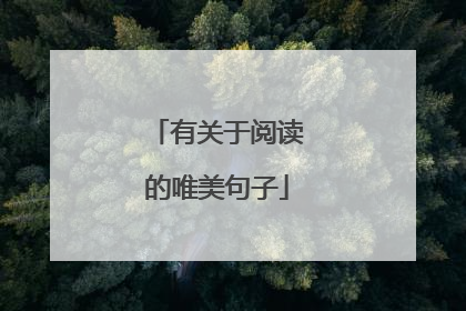 有关于阅读的唯美句子