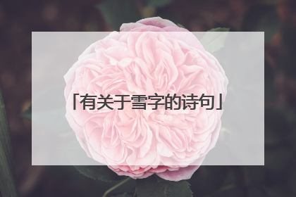 有关于雪字的诗句