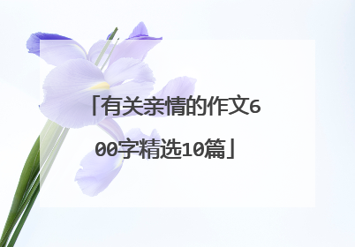 有关亲情的作文600字精选10篇