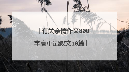 有关亲情作文800字高中记叙文10篇