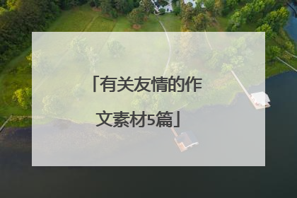 有关友情的作文素材5篇