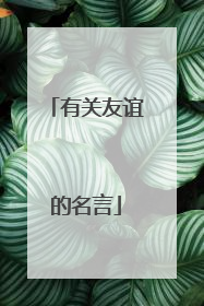 有关友谊的名言