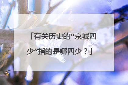 有关历史的“京城四少”指的是哪四少？