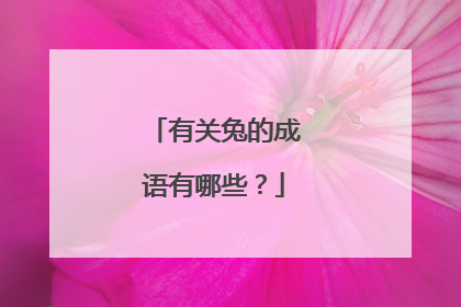 有关兔的成语有哪些?