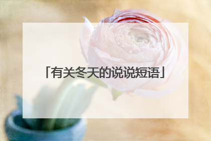 有关冬天的说说短语