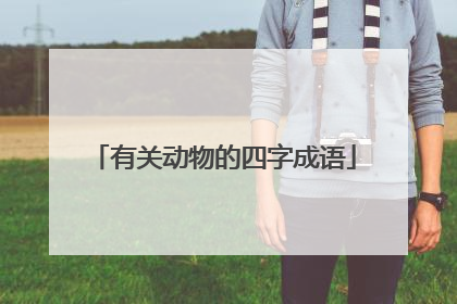 有关动物的四字成语