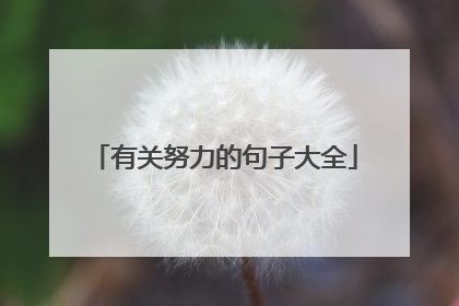 有关努力的句子大全