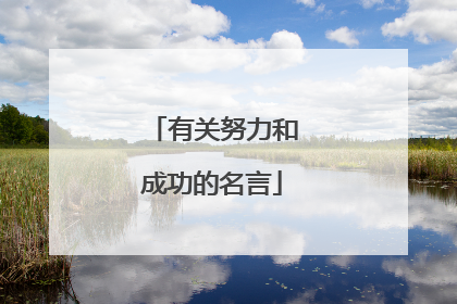 有关努力和成功的名言