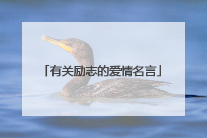 有关励志的爱情名言