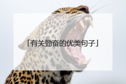 有关勤奋的优美句子