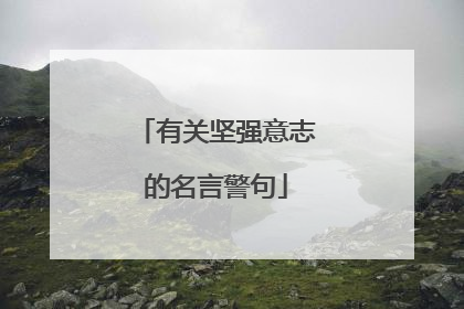 有关坚强意志的名言警句