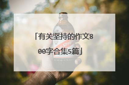 有关坚持的作文800字合集5篇
