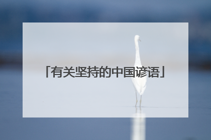 有关坚持的中国谚语