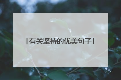 有关坚持的优美句子