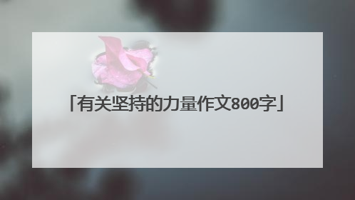 有关坚持的力量作文800字
