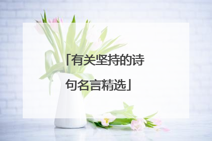 有关坚持的诗句名言精选
