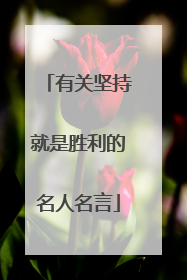 有关坚持就是胜利的名人名言