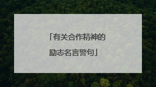 有关合作精神的励志名言警句