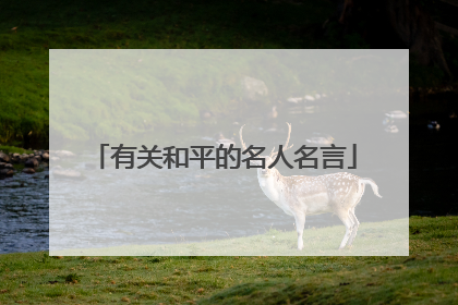 有关和平的名人名言