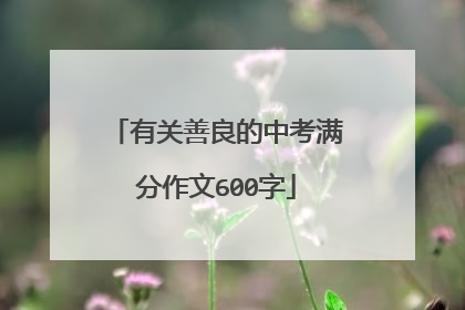 有关善良的中考满分作文600字