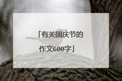 有关国庆节的作文600字