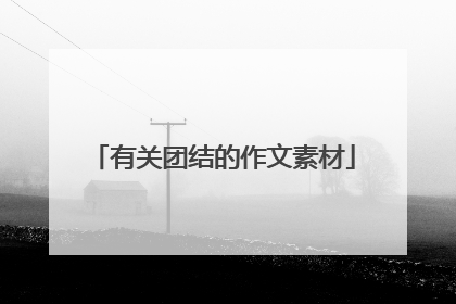 有关团结的作文素材