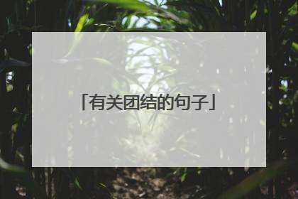 有关团结的句子