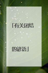 有关团结的谚语