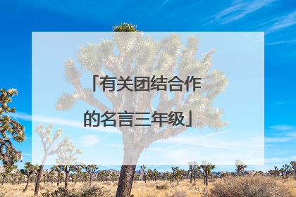 有关团结合作的名言三年级